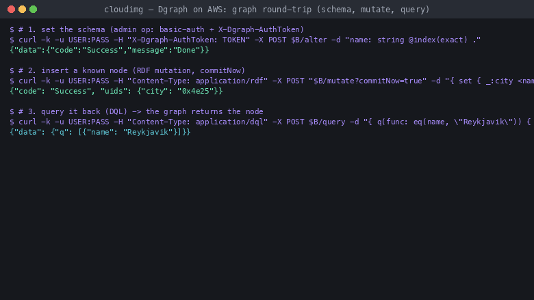 Dgraph graph round-trip: set schema, insert a node, query it back