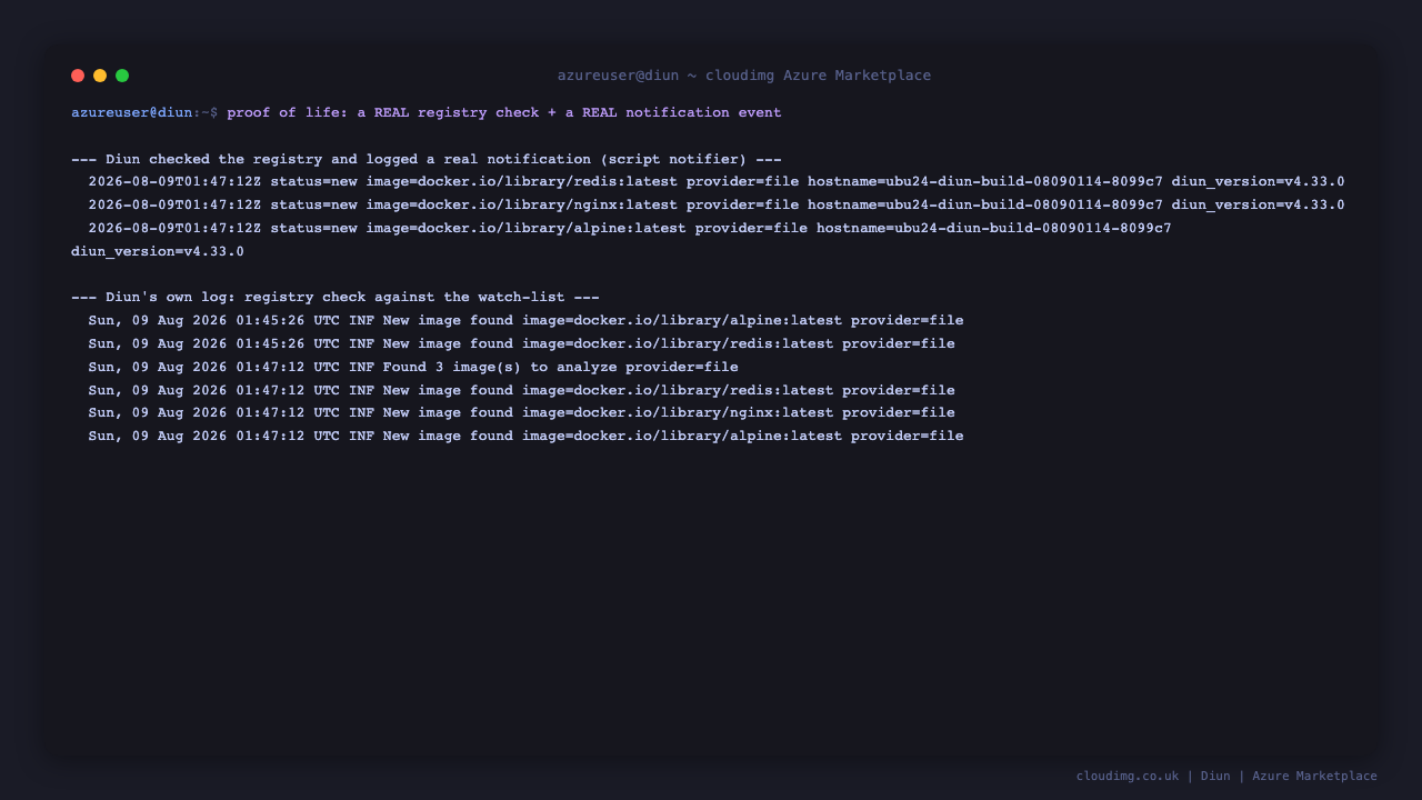 Terminal showing Diun's real registry check against the watch list and the resulting notification events logged locally