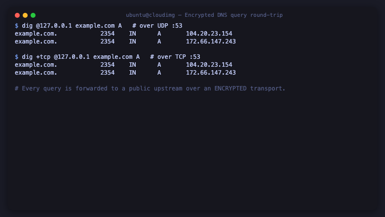 Encrypted DNS query round-trip