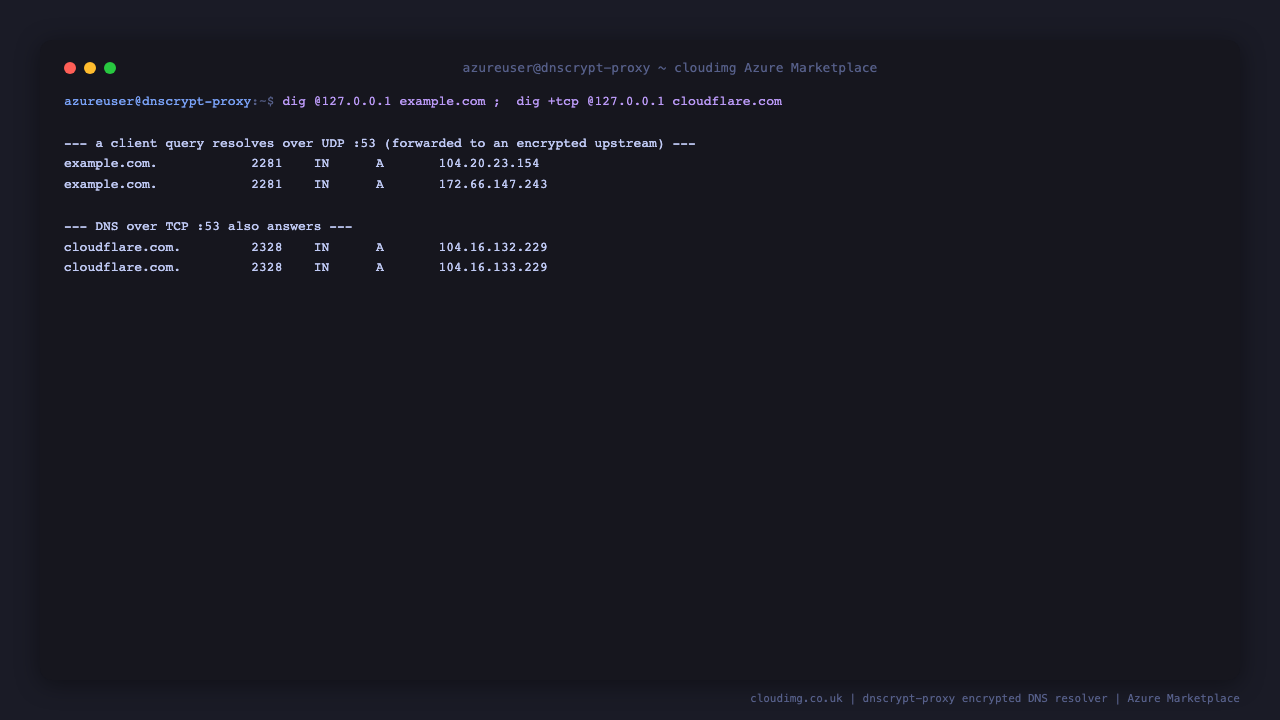 dig sends a query for example.com to the resolver on 127.0.0.1 and receives A records 104.20.23.154 and 172.66.147.243, and a DNS over TCP query for cloudflare.com also returns A records, confirming the proxy resolves over both UDP and TCP on port 53
