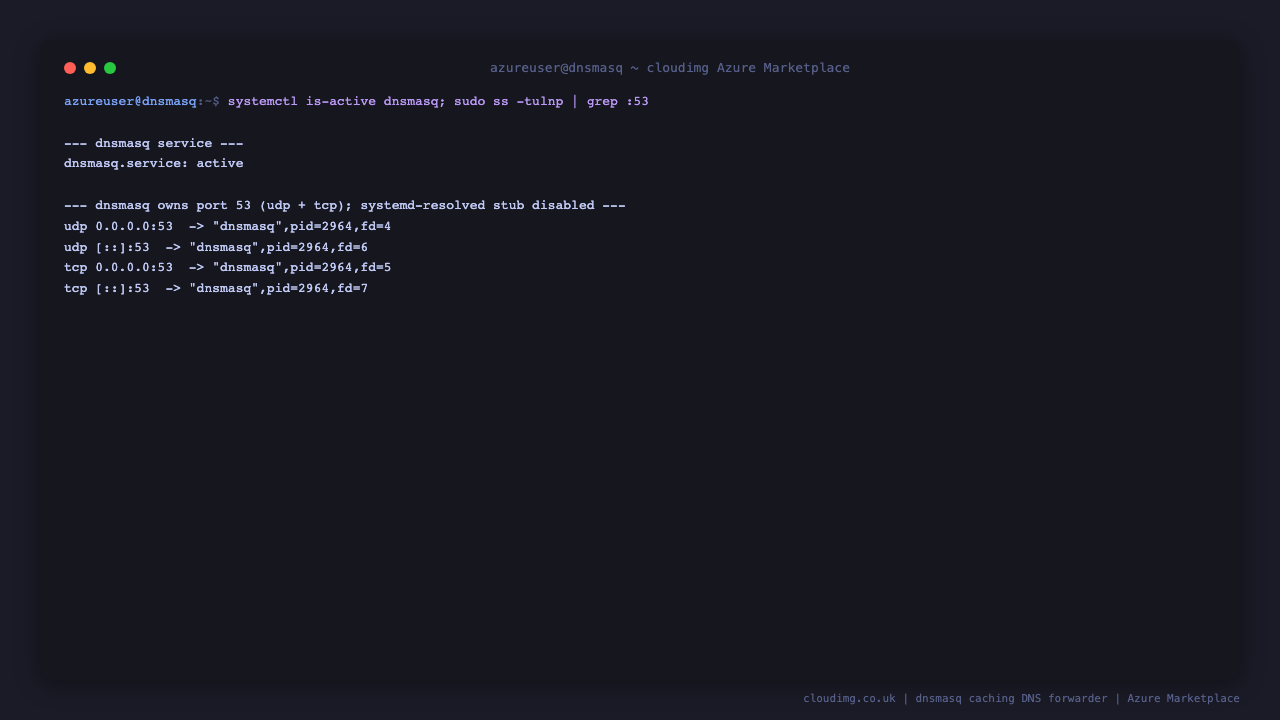 dnsmasq.service reports active, and ss shows the dnsmasq process listening on port 53 for both udp and tcp, confirming dnsmasq owns port 53 in place of the systemd resolved stub listener