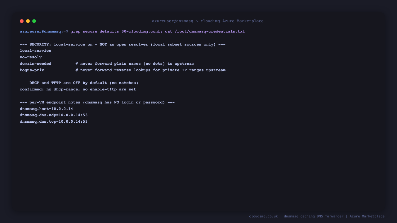 grep confirms local-service, no-resolv, domain-needed and bogus-priv are set in the configuration, and a second grep confirms there is no dhcp-range and no enable-tftp, so the server is not an open resolver and DHCP and TFTP are switched off by default
