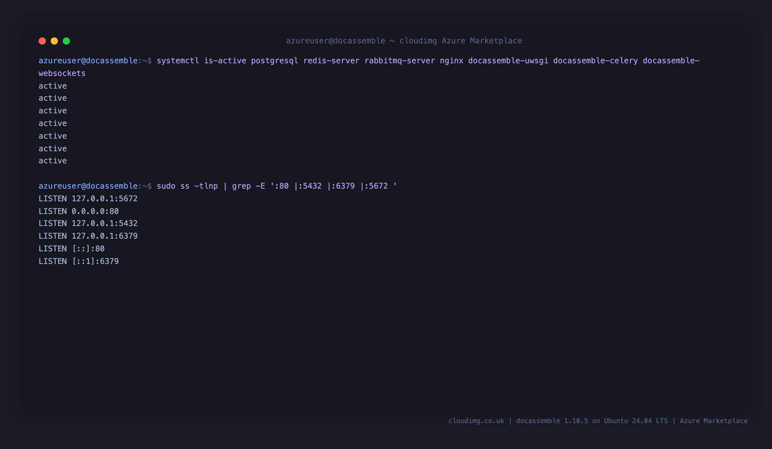 docassemble services active, with PostgreSQL, Redis and RabbitMQ on loopback and nginx on port 80