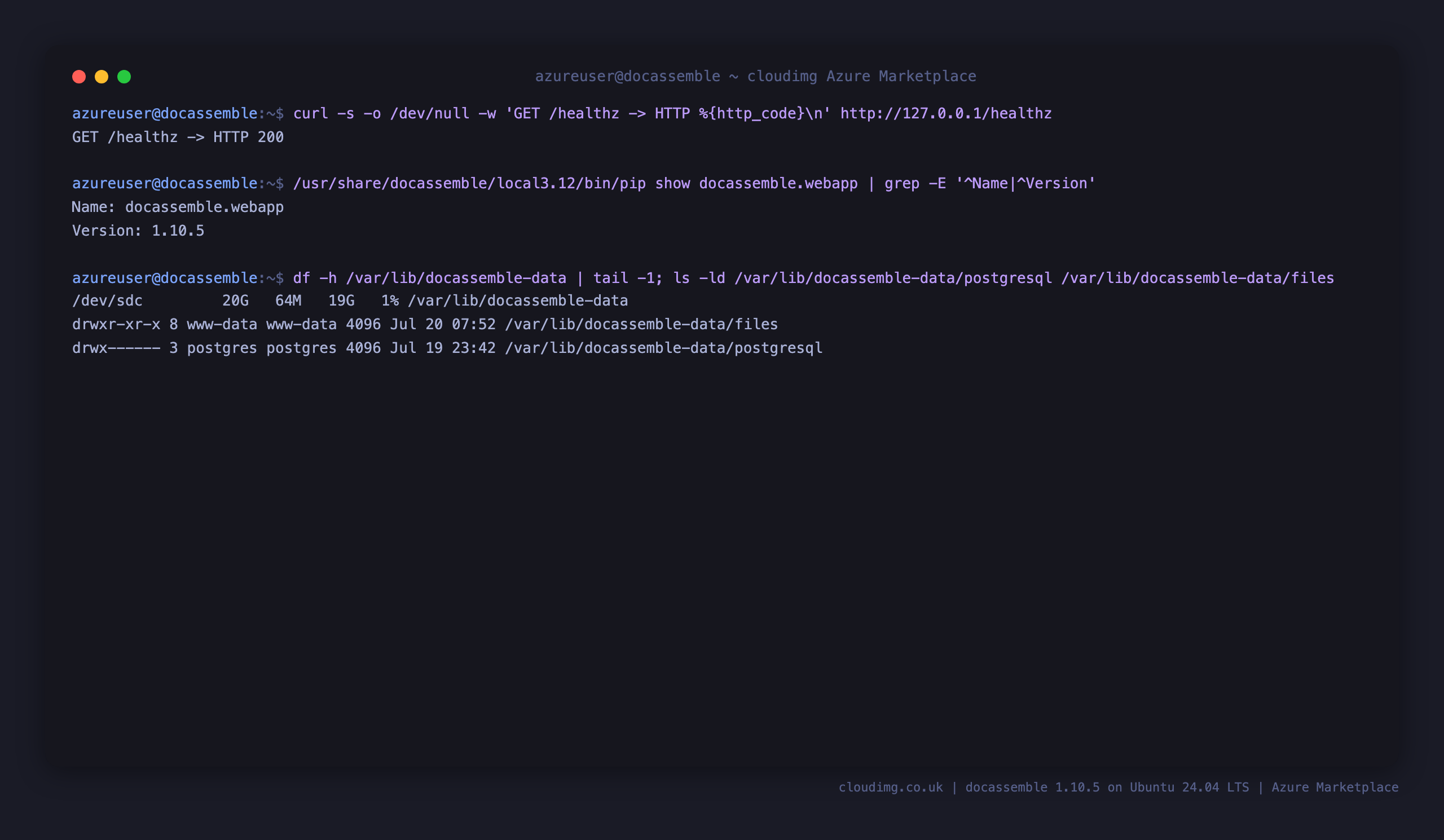 The health endpoint returning 200, the docassemble version, and the PostgreSQL cluster and file store on the data disk