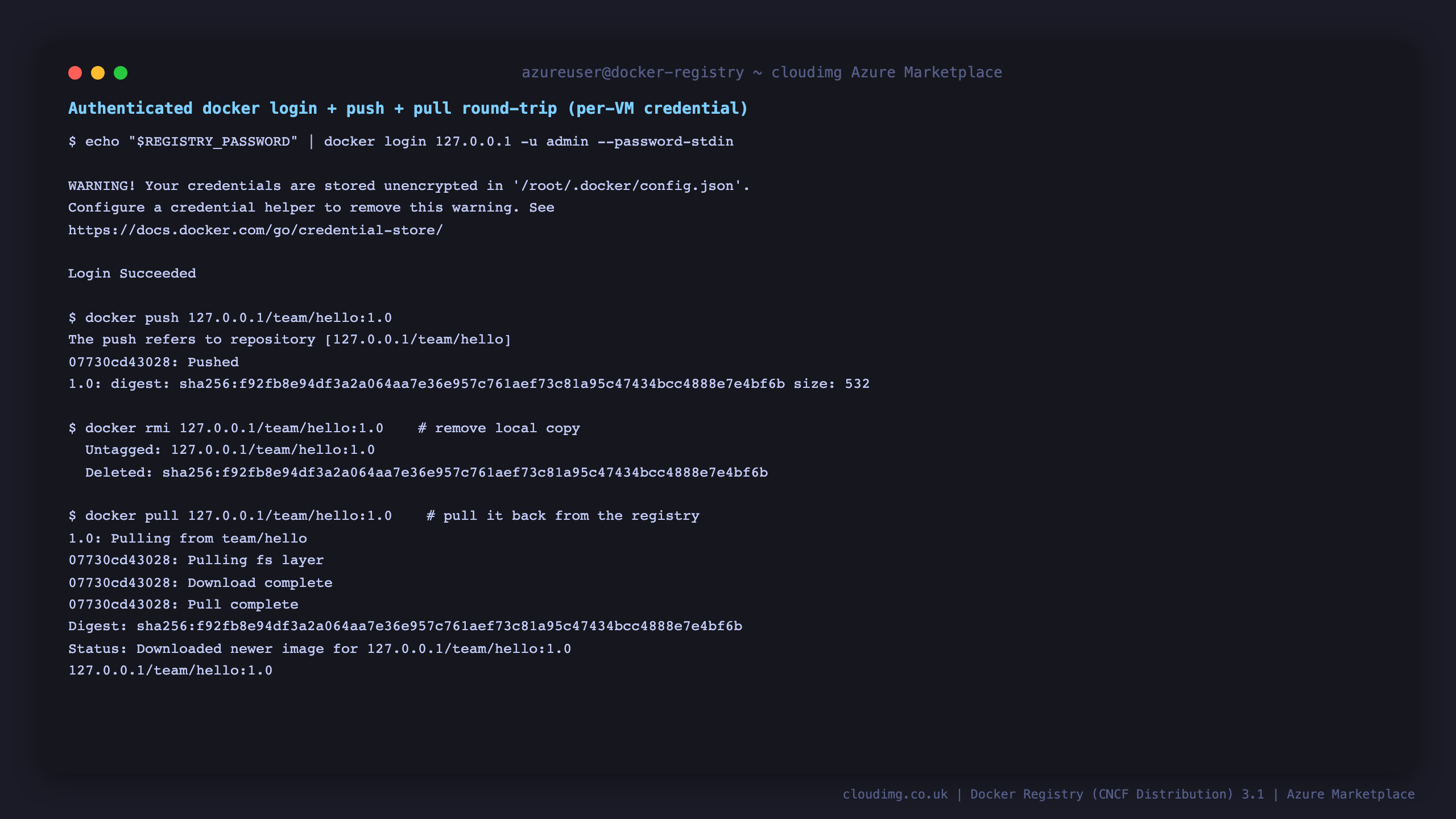 A complete docker login + docker push + docker pull round trip against the registry: login succeeds with the per instance admin credential, the image is pushed, removed locally, then pulled back with a matching sha256 digest