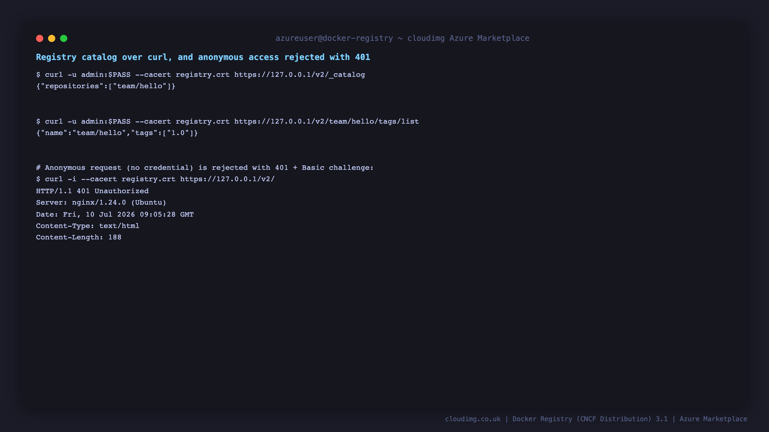 curl of /v2/_catalog and /v2/team/hello/tags/list with the admin credential returns JSON; an anonymous request to /v2/ returns HTTP 401 Unauthorized from nginx
