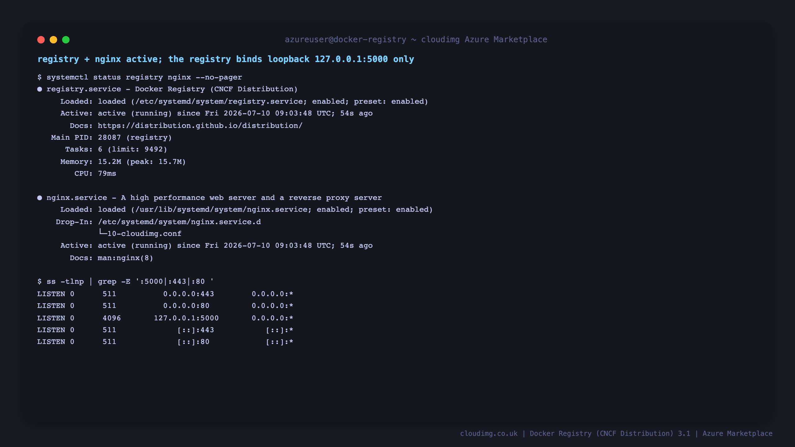 registry.service and nginx.service both active (running); ss shows the registry bound to 127.0.0.1:5000 loopback only, with nginx public on :443 and :80