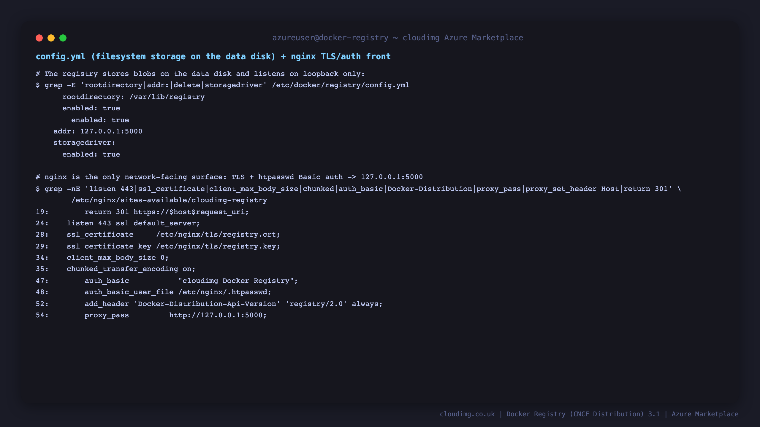 config.yml showing filesystem rootdirectory /var/lib/registry and http addr 127.0.0.1:5000, plus the nginx directives: listen 443 ssl, ssl_certificate, client_max_body_size 0, chunked_transfer_encoding on, auth_basic, the Docker-Distribution-Api-Version header, and proxy_pass to 127.0.0.1:5000