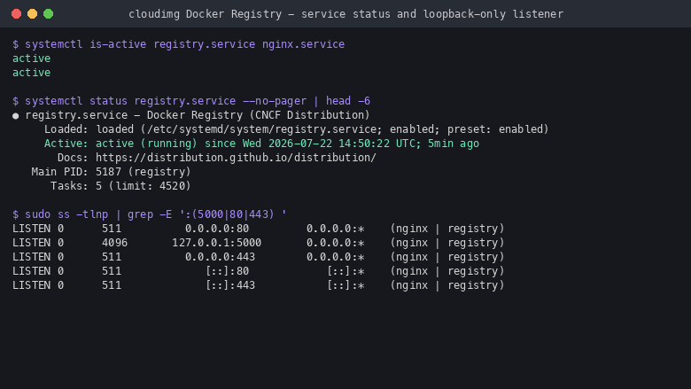 Registry service active, loopback-only listener