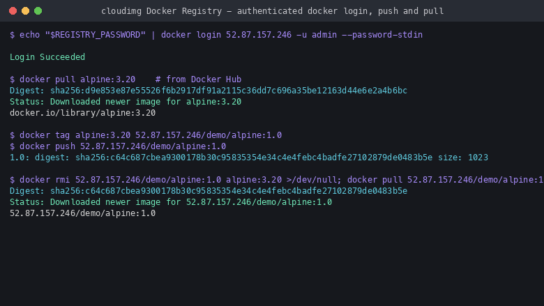 Authenticated docker login, push and pull