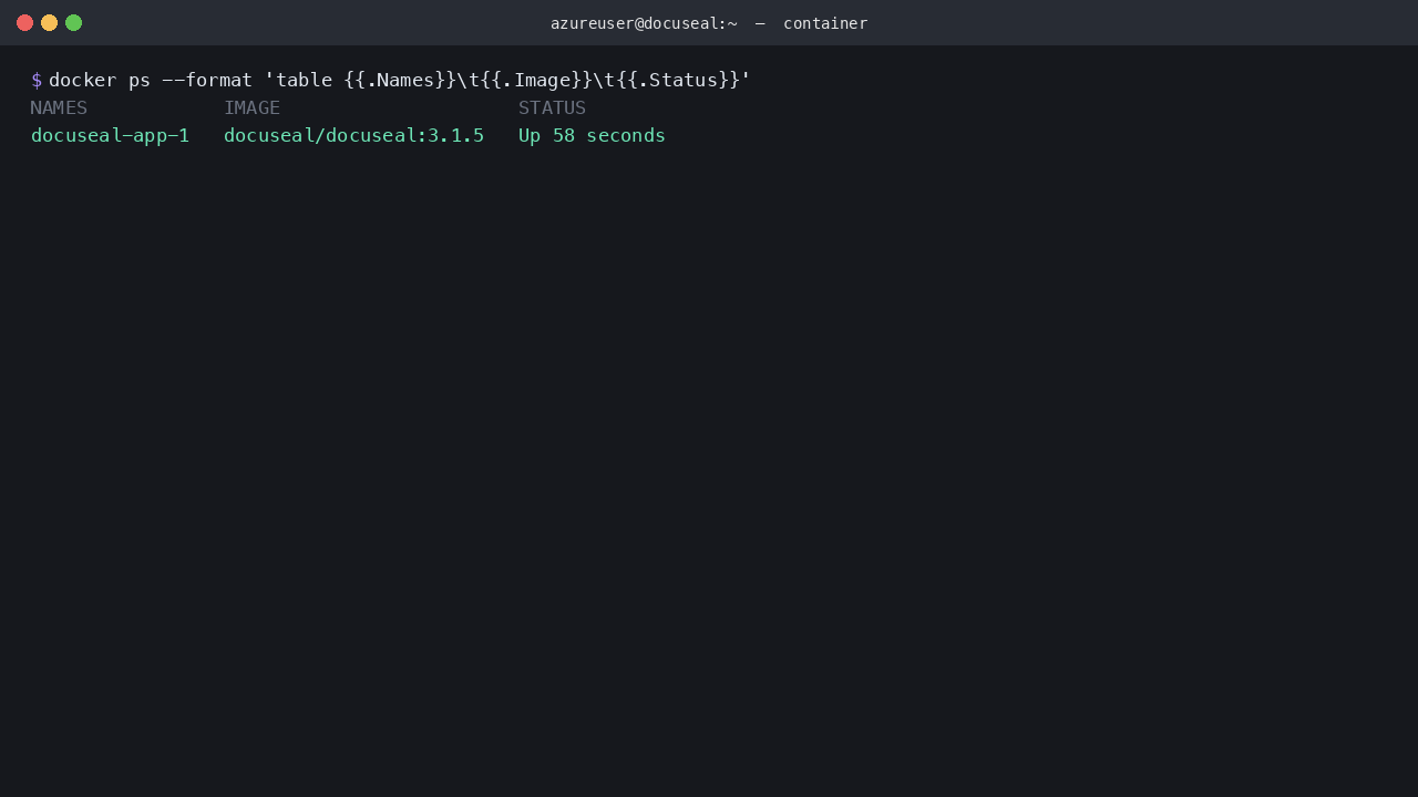 The DocuSeal container running the pinned docuseal 3.1.5 image