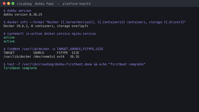 Dokku, Docker and nginx healthy with the first boot complete and Docker storage on its own volume