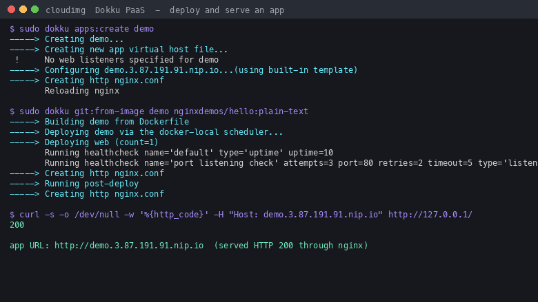 A first app deployed on Dokku and served through nginx with HTTP 200