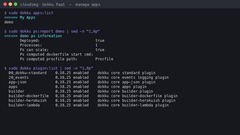 Managing a Dokku app: process report, config and plugin list