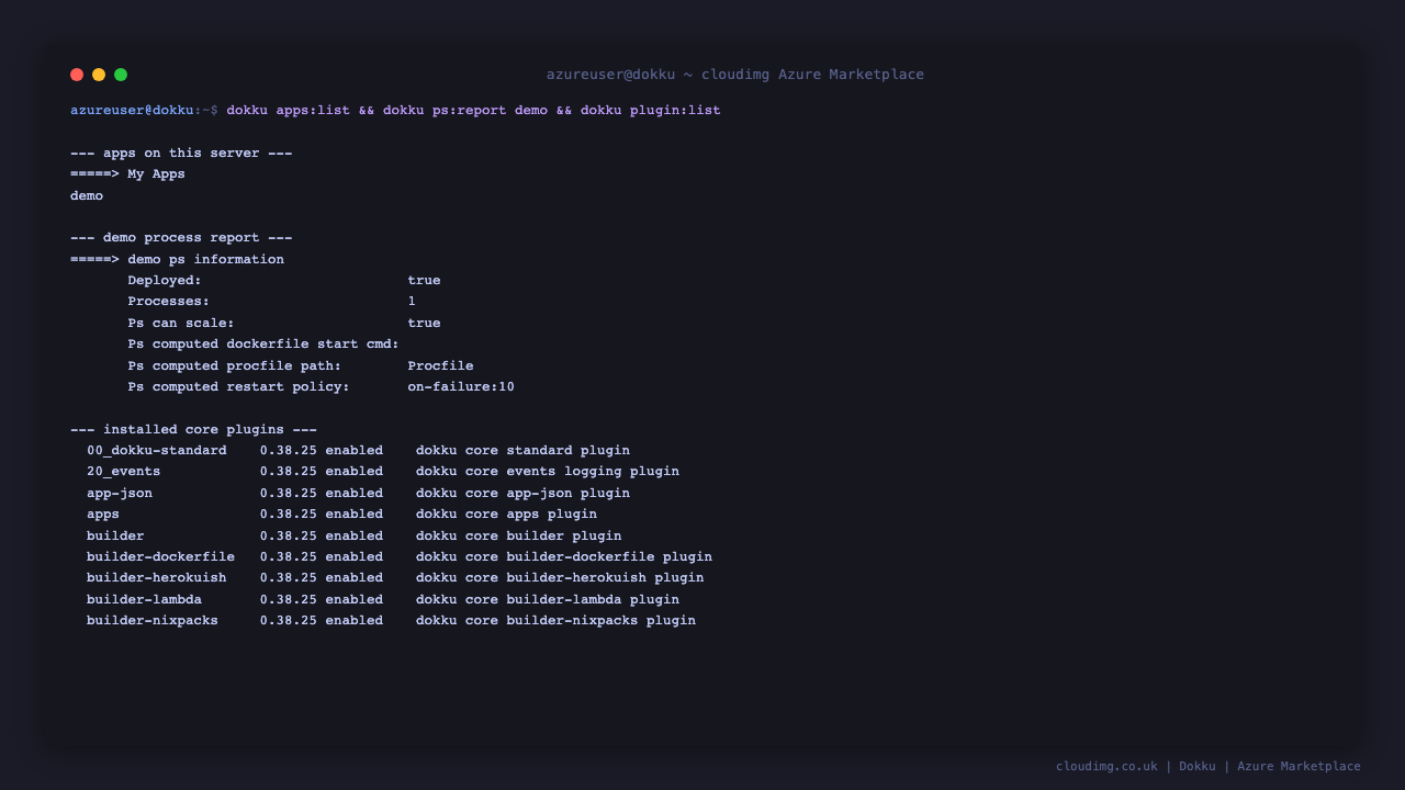 Managing a Dokku app: process report, config and plugin list