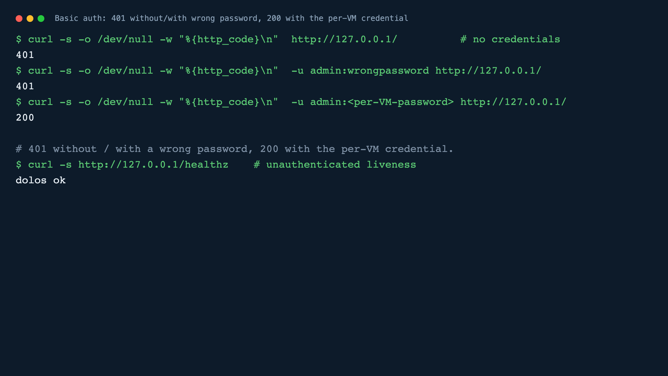 Basic authentication returning 401 without credentials and with a wrong password, and 200 with the per-VM credential, plus the unauthenticated healthz endpoint