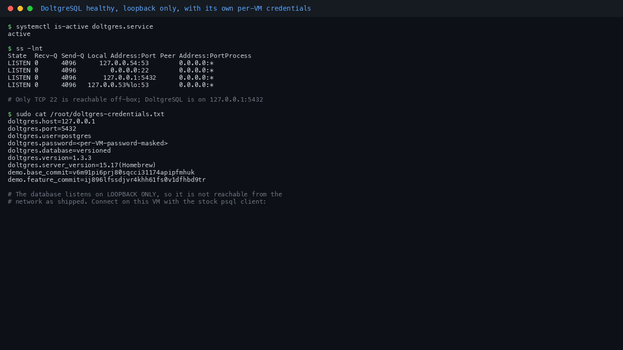 DoltgreSQL healthy on loopback, with the per VM credentials file this VM generated for itself