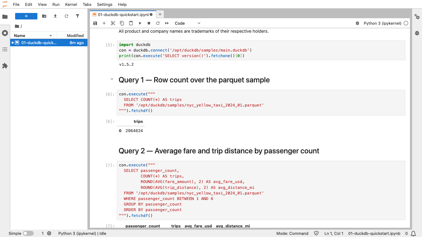 DuckDB analytical query results in JupyterLab