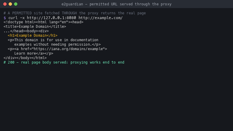 A permitted site fetched through the proxy returns the real page body