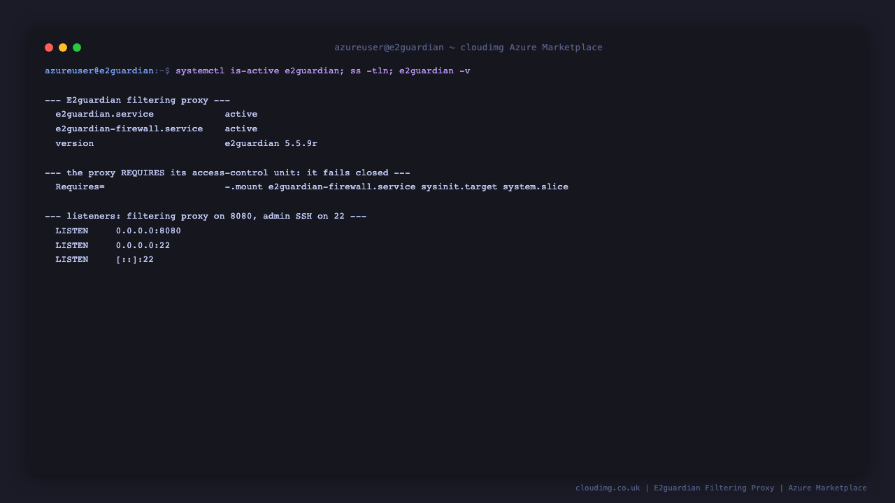 Terminal showing the e2guardian and e2guardian-firewall services both active, the proxy listening on port 8080 alongside admin SSH on port 22, and E2guardian reporting version 5.5.9r