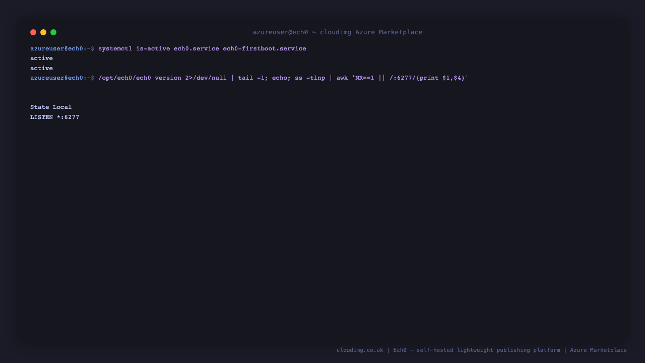 Ech0 service, version and listening port on a freshly launched VM