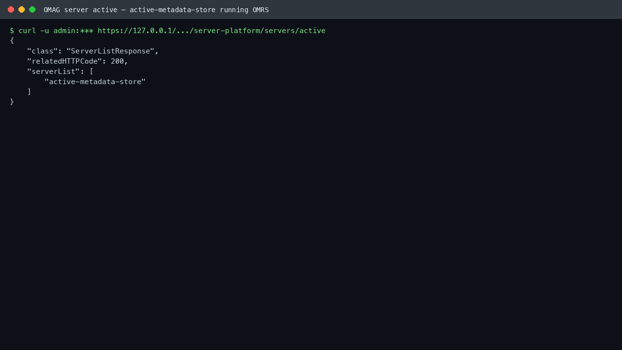 Command line query of the active-server endpoint showing active-metadata-store running