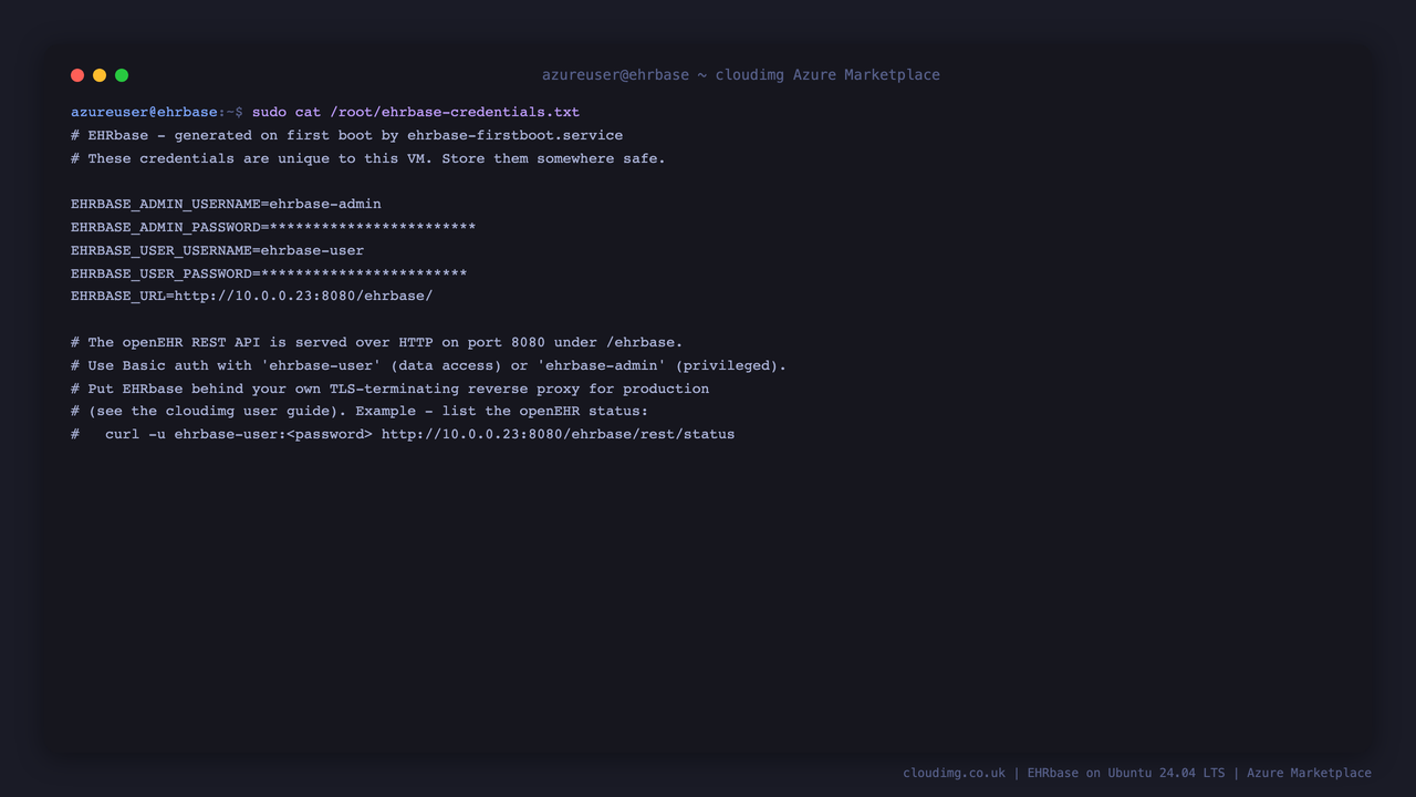 The per-VM Basic-auth credentials generated at first boot, written to a root-only file