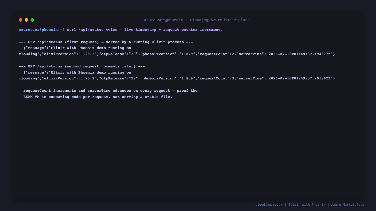 curl http://127.0.0.1/api/status run twice: the requestCount increments from one call to the next and the serverTime advances, proving live per-request execution on the BEAM VM rather than a cached static response
