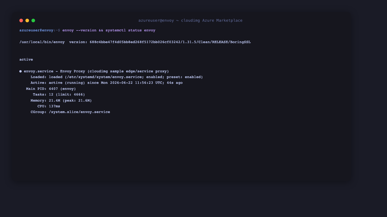Envoy version and service status
