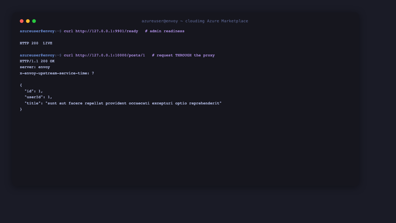 Envoy admin readiness and a proxied request through the proxy