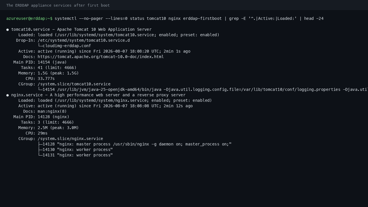 The tomcat10, nginx and erddap-firstboot units all reporting active on a freshly booted VM, with the first boot sentinel present