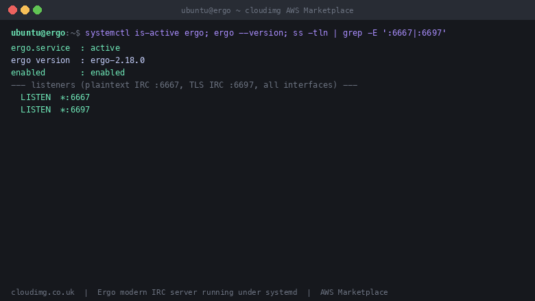 Ergo modern IRC server running under systemd, reporting its version and listening on ports 6667 and 6697