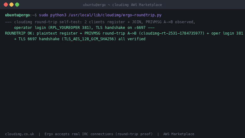 The Ergo round-trip self-test connecting two IRC clients, delivering a message, logging in as operator and completing a TLS handshake
