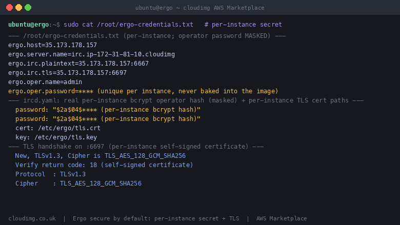 The per instance operator password and self-signed TLS certificate generated on first boot, with the operator password shown masked