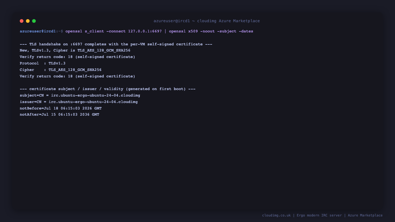 openssl s_client completes a TLS handshake against the ergo listener on port 6697 and prints the certificate subject, issuer and validity dates for the per VM self signed certificate generated on first boot