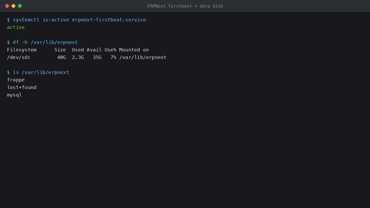 ERPNext first-boot service and data disk