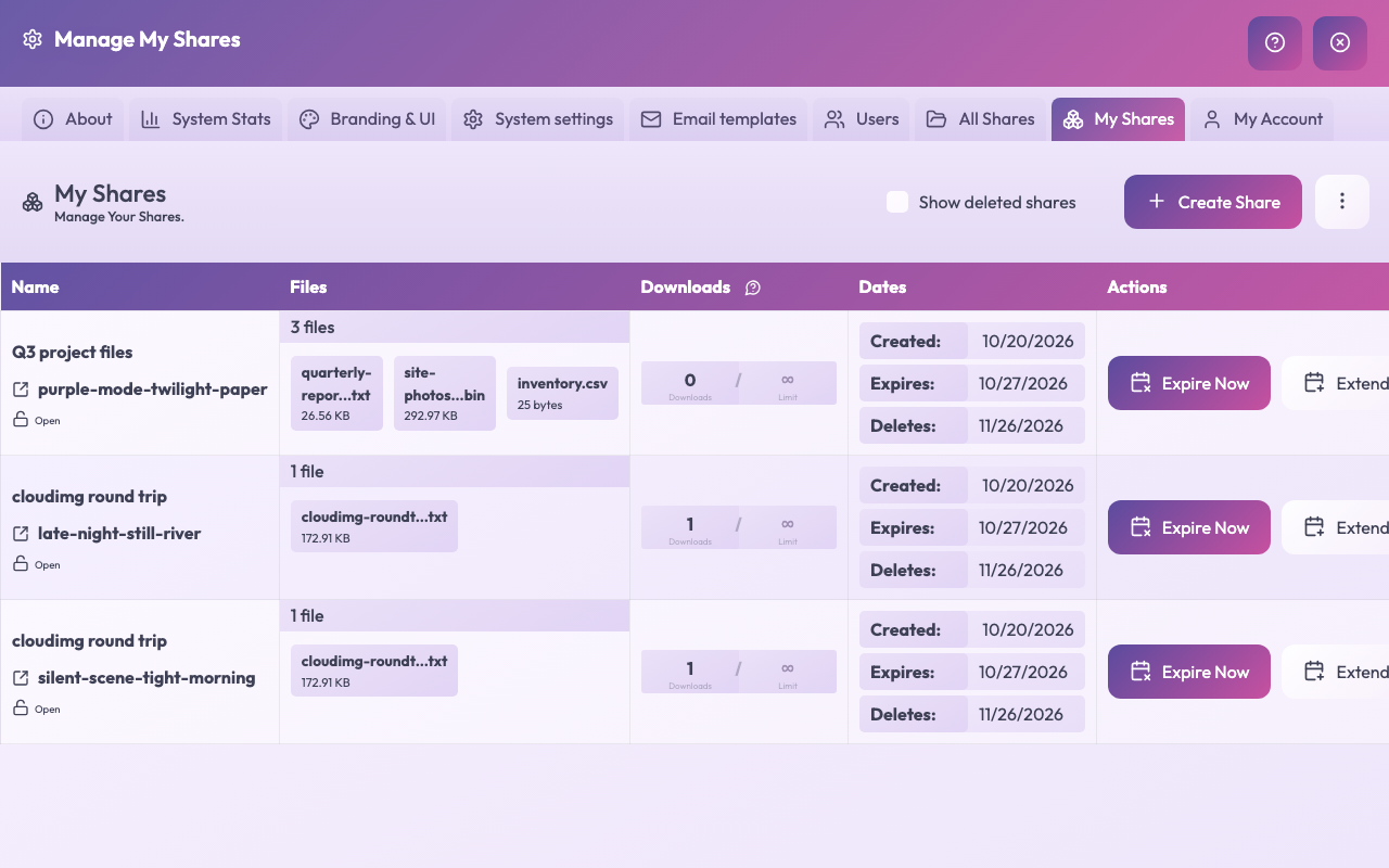 The My Shares page listing shares with their files, download counts, created, expiry and deletion dates and Expire Now and Extend buttons