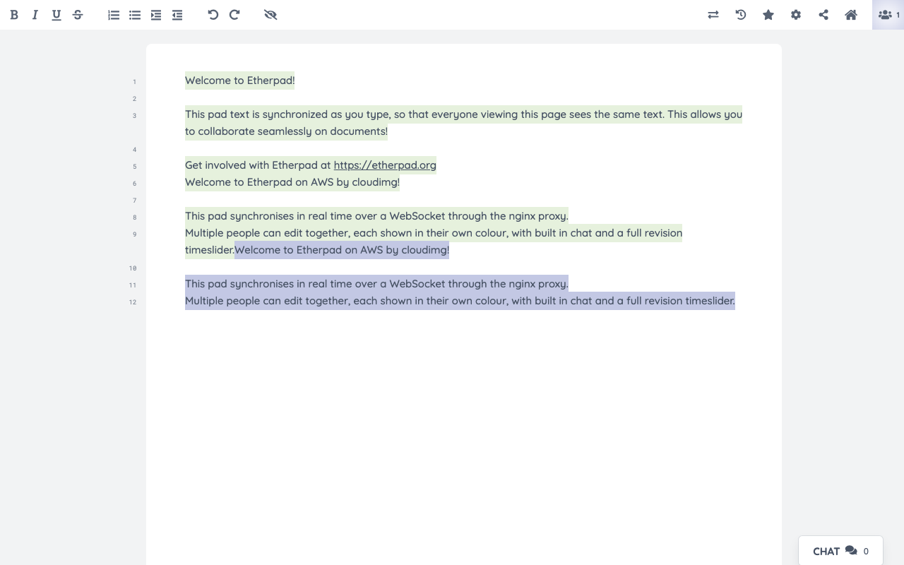 The Etherpad collaborative editor with a pad open in the browser