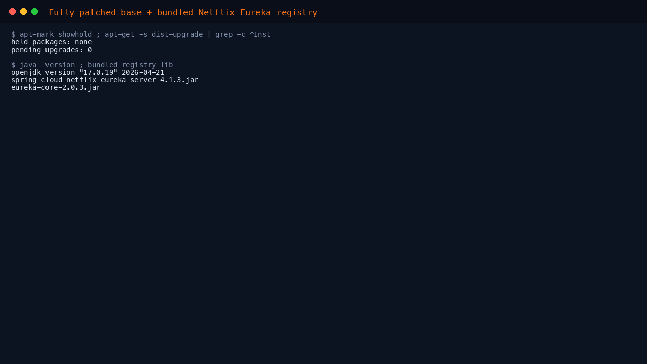 The VM showing zero held packages and zero pending security upgrades including phased updates, the Java runtime version, and the bundled Netflix eureka-core and spring-cloud-netflix-eureka-server libraries