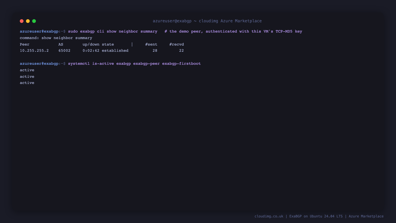 exabgp cli show neighbor summary with the demo peer established over the authenticated session