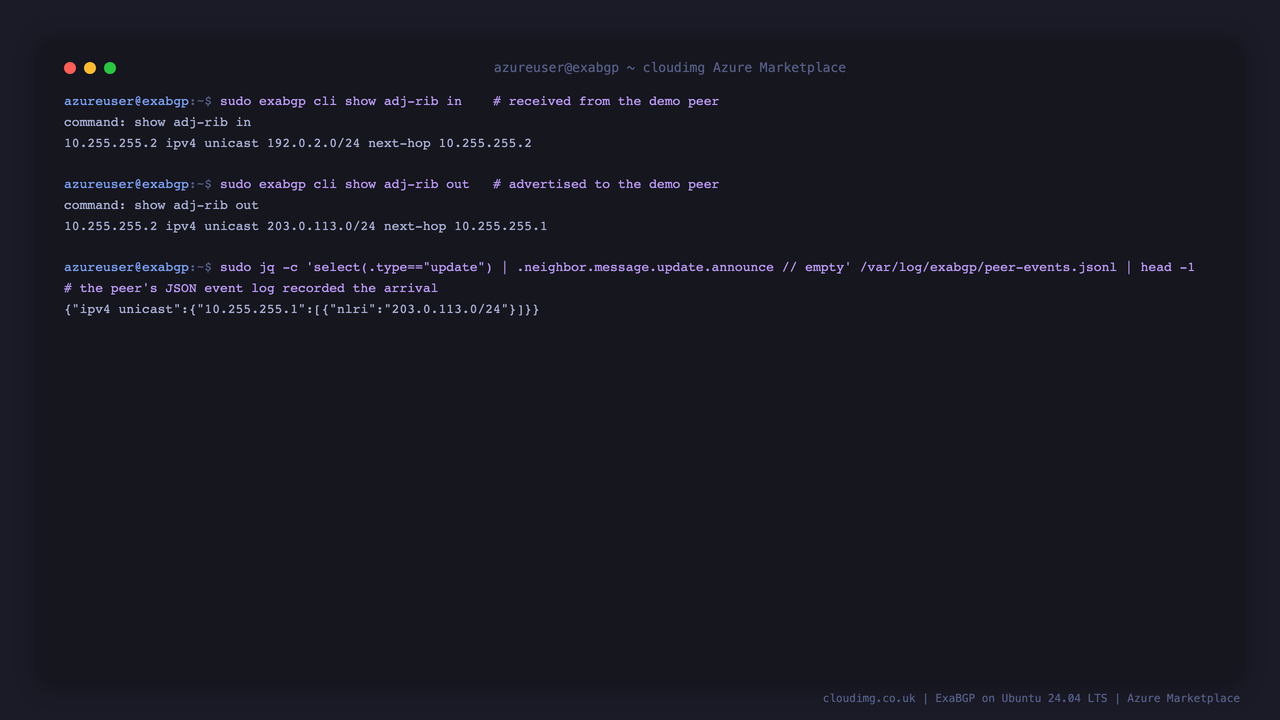 The Adj-RIB-In and Adj-RIB-Out, and the demo peer's JSON event log recording the received route
