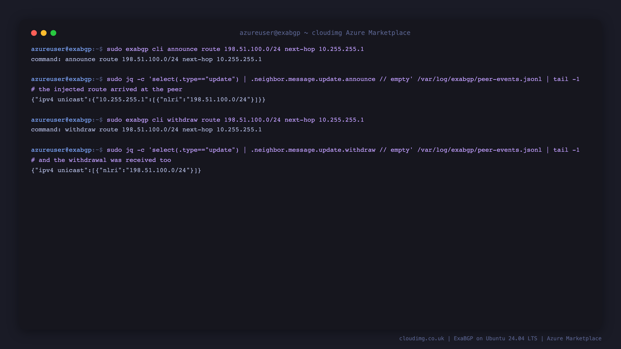 A live announce landing in the demo peer's JSON event log, then the withdraw