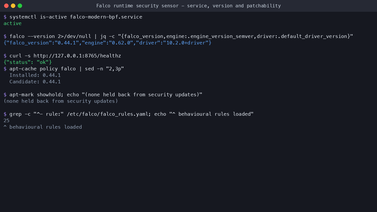 The Falco engine reporting active on a freshly launched instance, with its version, driver and engine versions, the health endpoint answering on the loopback interface only, and the package shown as apt managed with nothing held back from security updates