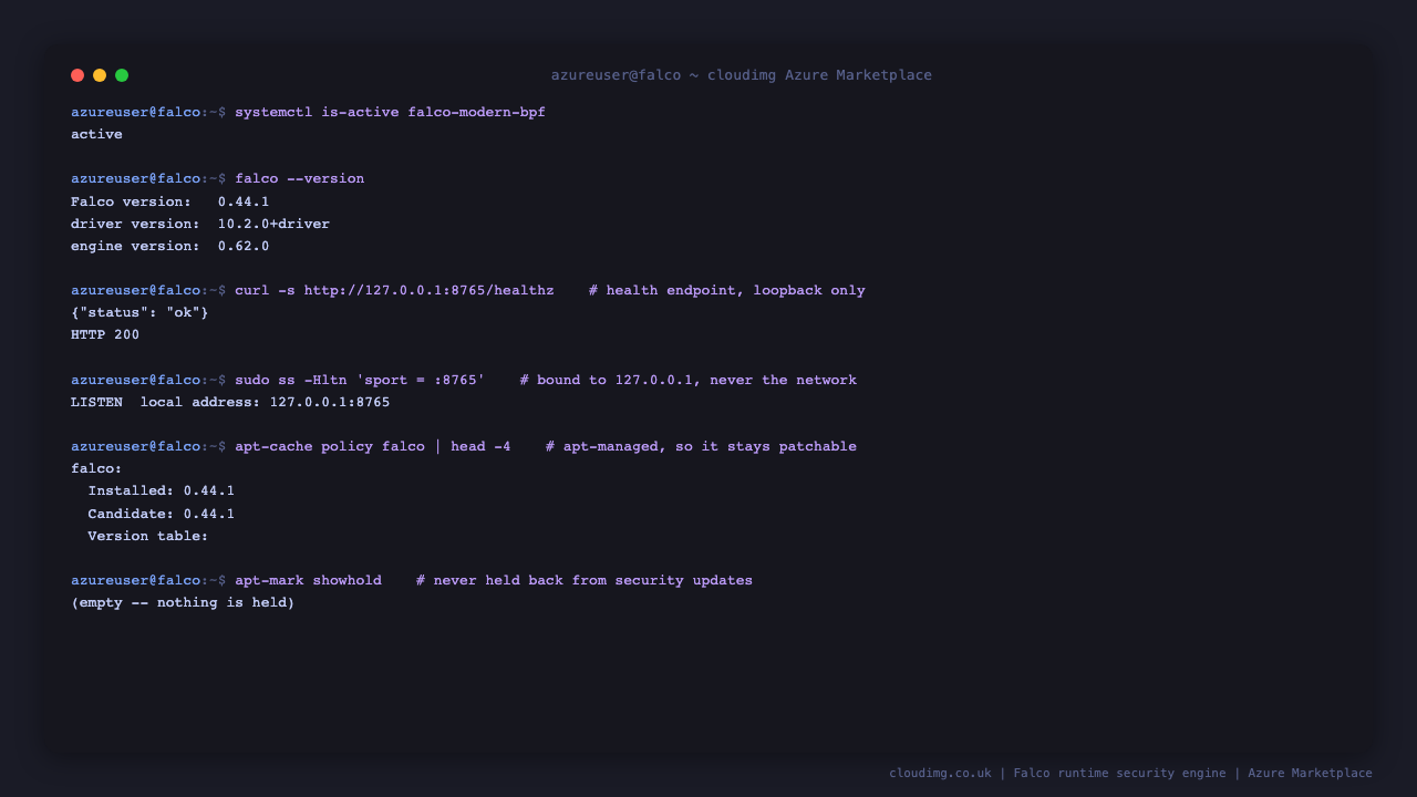 The Falco engine reporting active on a freshly deployed virtual machine, with its version, driver and engine versions, the health endpoint answering on the loopback interface only, and the package shown as apt managed with nothing held back from security updates