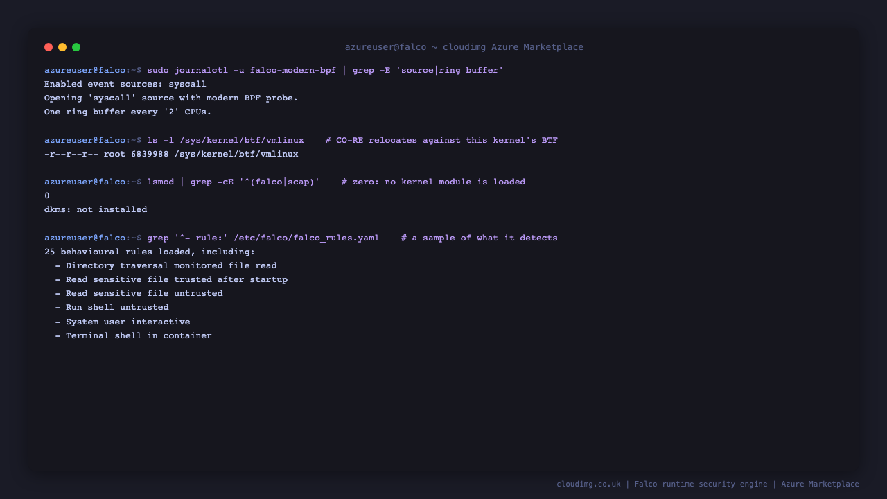 The engine reporting that it opened the syscall source with the modern BPF probe, the kernel type information the probe relocates against, zero Falco kernel modules loaded with DKMS not installed, and a sample of the behavioural rules the image loads