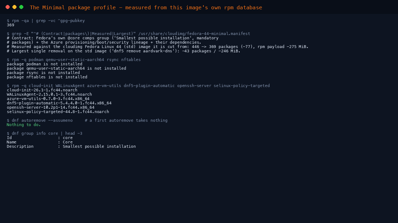 The Minimal package profile measured from the image's own package database
