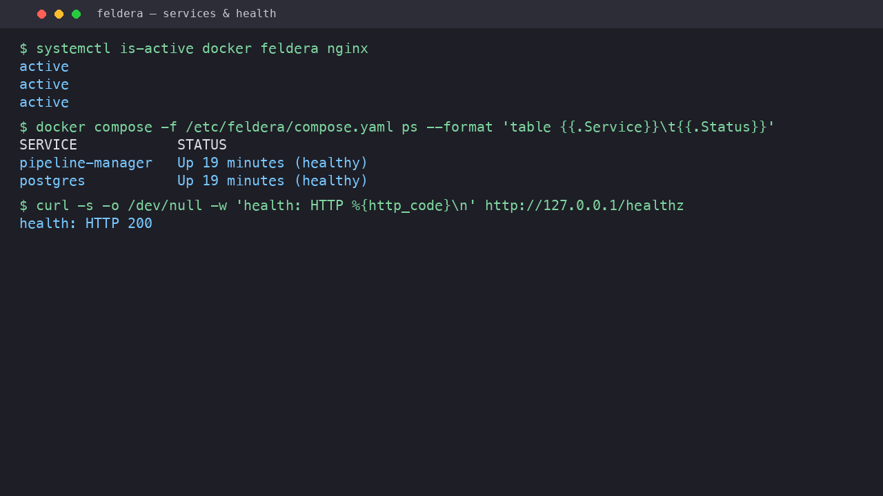 The Feldera pipeline manager and bundled PostgreSQL containers running healthy under systemd, with a public health check