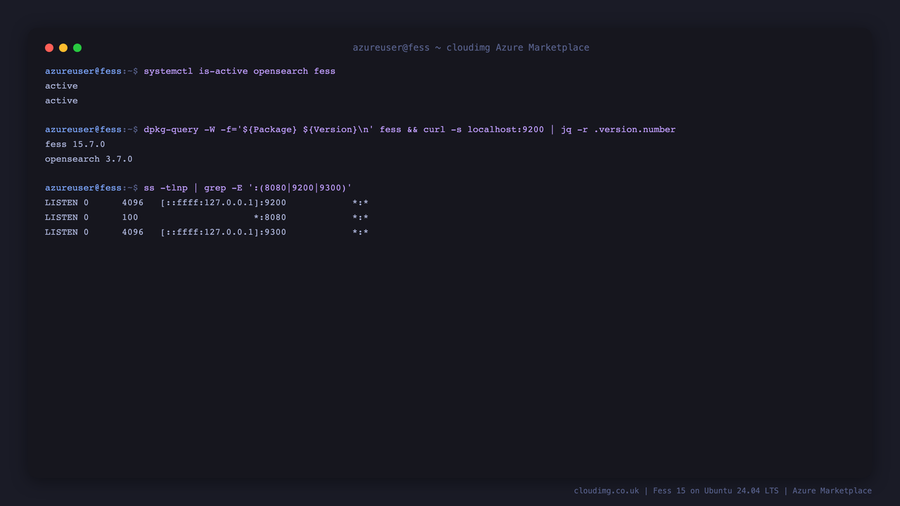 Fess and OpenSearch services, versions and bound ports on the deployed VM