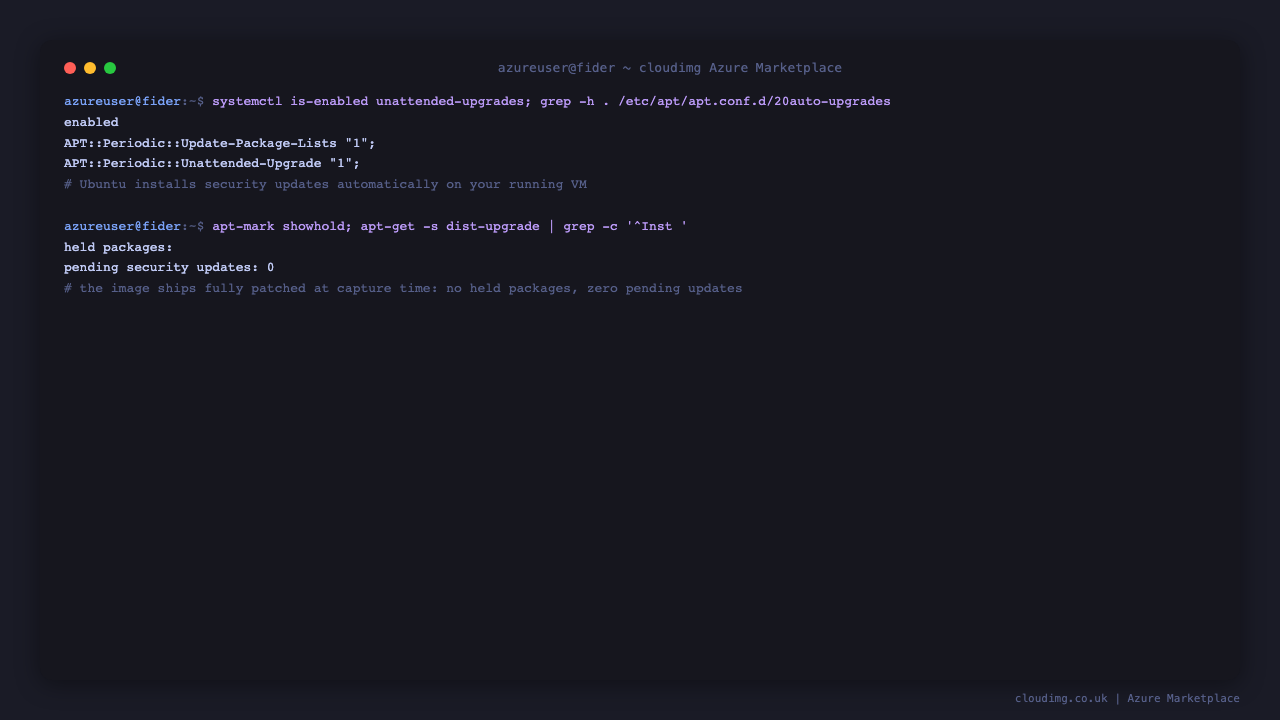 Security baseline — automatic updates and service listeners