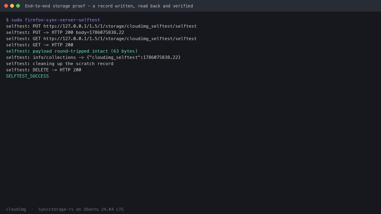 Terminal showing the self test writing a record, reading it back, reporting the payload round-tripped intact, and finishing with SELFTEST_SUCCESS